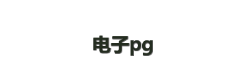 电子pg