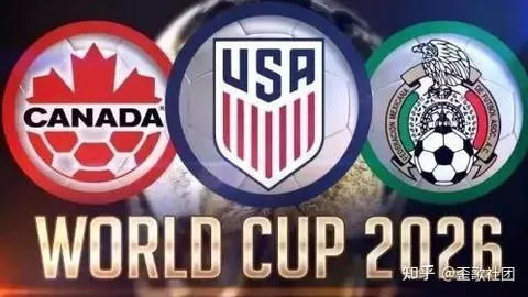 郑钦文展望连续六败：喜悦未减，信念坚定砥砺前行