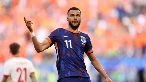 德天空辟谣：拜仁现阶段无签下费布鲁亨计划